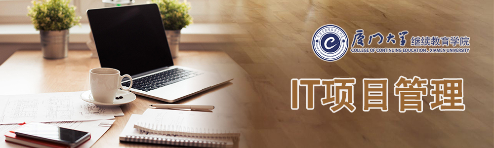 IT项目管理